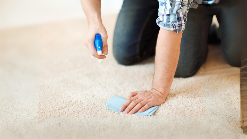 A person diligently wiping a carpet with a clean cloth.