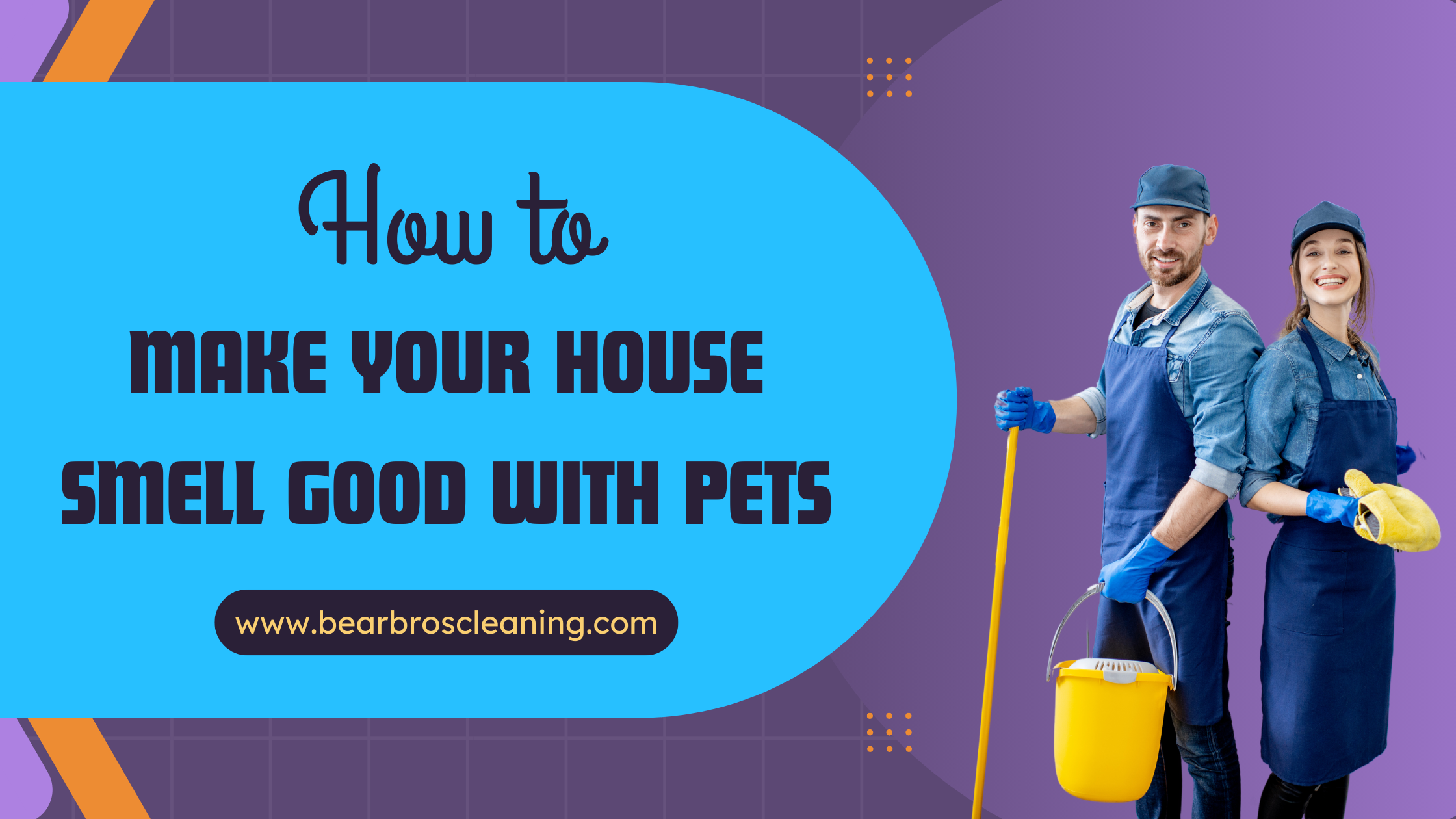 How to Make Your House Smell Good with Pets Bear Brothers Cleaning